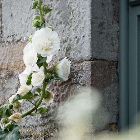 Luxury Cottage Near Hay-On-Wye Llanigon Exterior photo