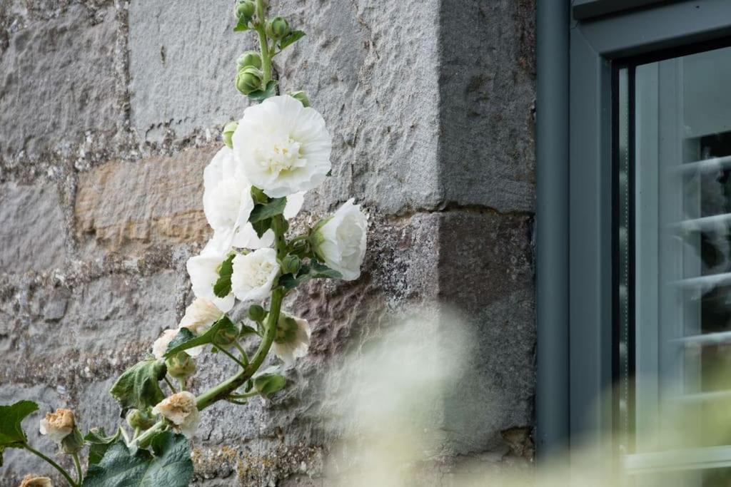 Luxury Cottage Near Hay-On-Wye Llanigon Exterior photo